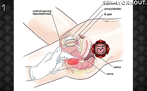 Anal stimulation massage